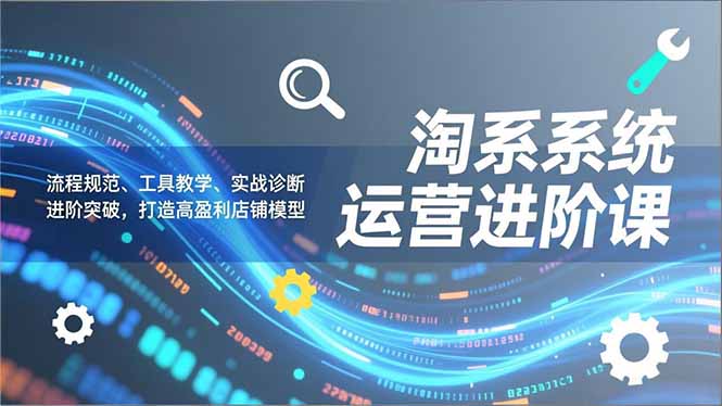 淘系系统运营进阶课2.0，流程规范、工具教学、实战诊断，进阶突破，打造高盈利店铺模型-追逐云网创