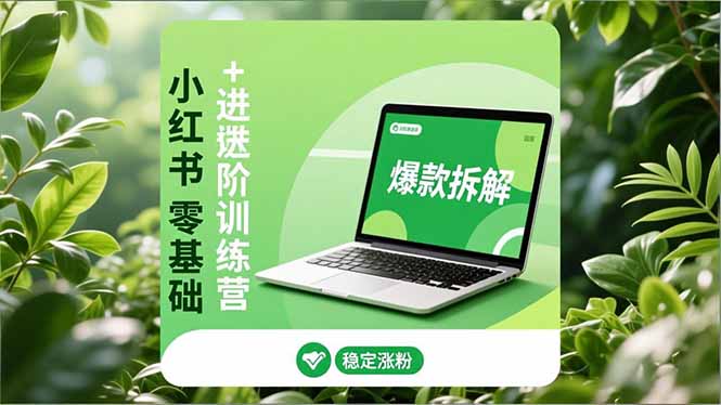 小红书零基础+高阶训练营：安全养号、爆款拆解、长效运营，实现稳定涨粉与变现-追逐云网创
