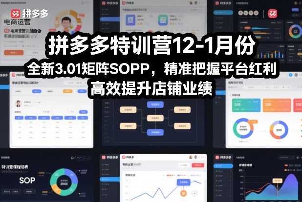 拼多多特训营12-1月份，全新3.01矩阵Sop，精准把握平台红利，高效提升店铺业绩-追逐云网创