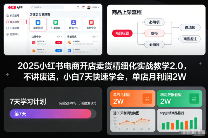 2025小红书电商开店卖货精细化实战教学2.0，不讲废话，小白7天快速学会，单店月利润2W-追逐云网创
