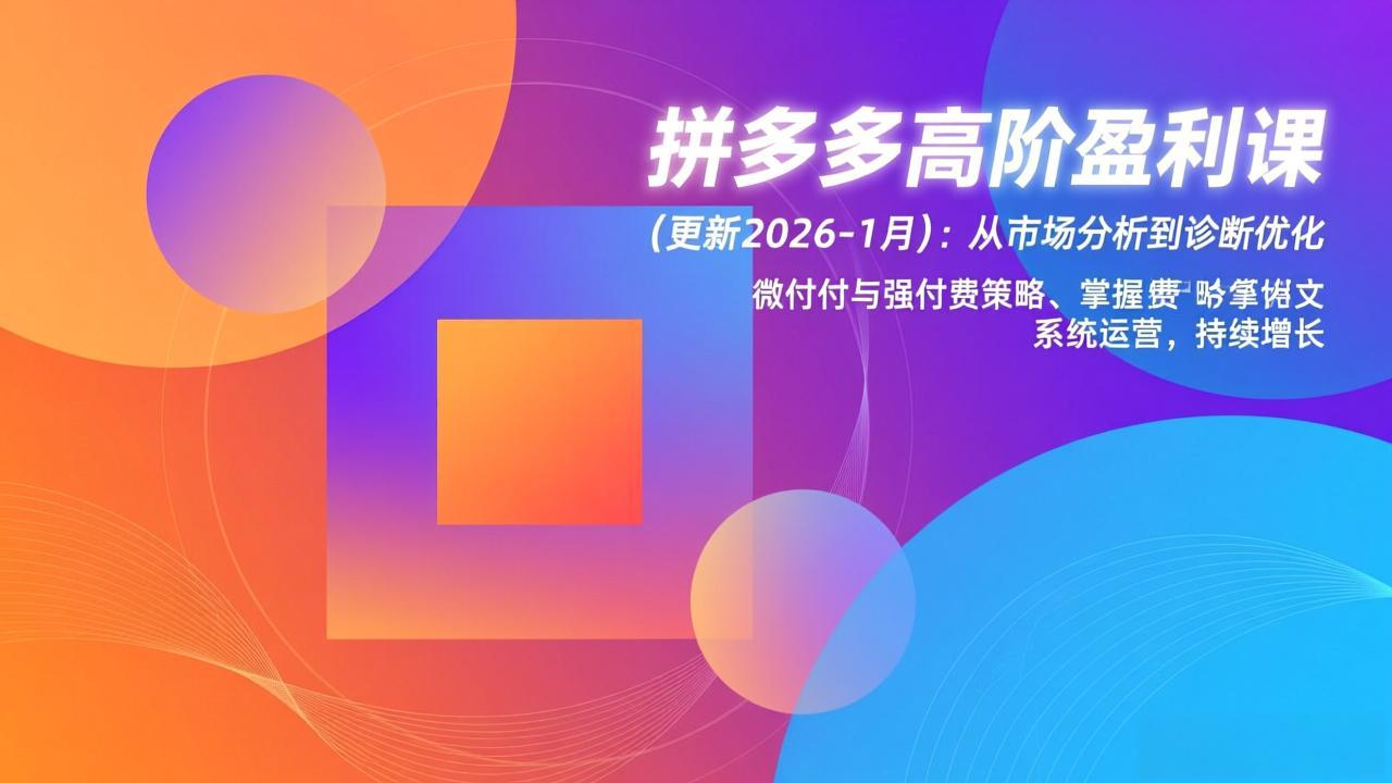 拼多多高阶盈利课(更新2026-1月-追逐云网创