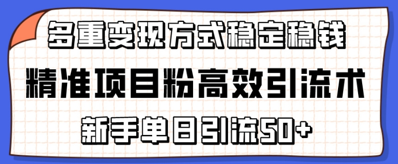 精准项目粉高效引流术，新手单日引流50+，多重变现方式稳定赚钱-追逐云网创