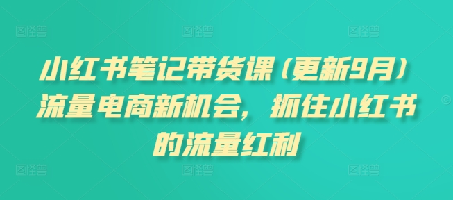 小红书笔记带货课(更新25年12月)流量电商新机会，抓住小红书的流量红利-追逐云网创