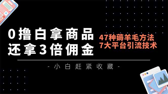 0撸白拿商品，还拿3倍佣金，47种薅羊毛方法，7大平台全方位引流技术教学，精专月入过万-追逐云网创