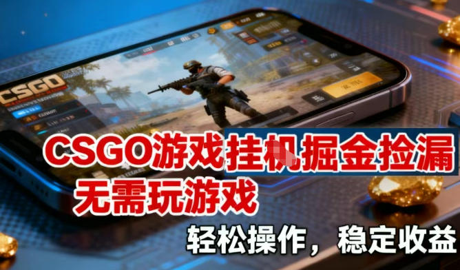 CSGO游戏挂G掘金捡漏，不需要玩游戏，操作简单，收益稳定【揭秘】-追逐云网创