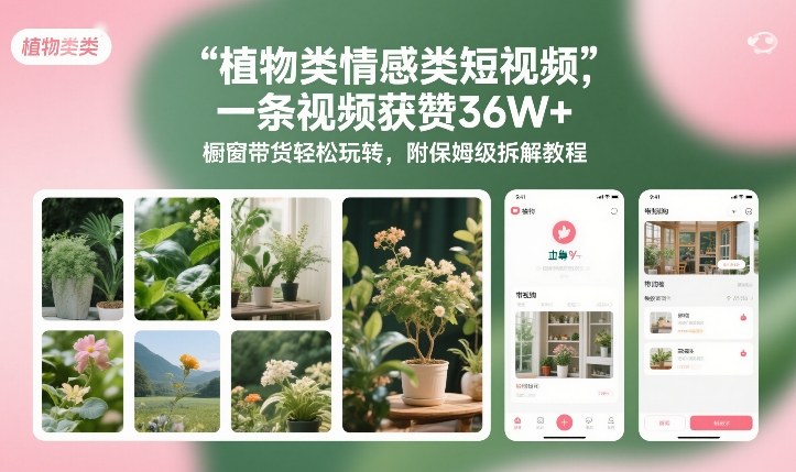 植物类情感类短视频，一条视频获赞36W+，橱窗带货轻松玩转，附保姆级拆解教程-追逐云网创