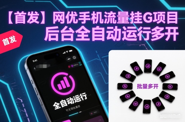 【首发】网优手机流量挂G项目，后台全自动运行，可无限批量多开【揭秘】-追逐云网创