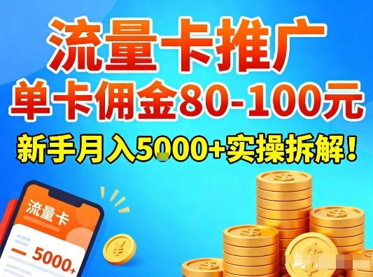 流量卡推广，单卡佣金80-100，新手月入5k+实操拆解！-追逐云网创