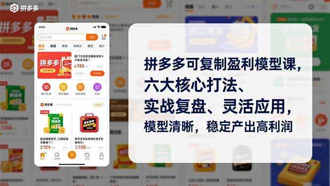 拼多多可复制盈利模型课，六大核心打法、实战复盘、灵活应用，模型清晰，稳定产出高利润-追逐云网创