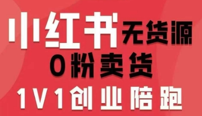 小红书无货源0粉电商课，开店准备、选品策略、笔记撰写、视频剪辑、数据分析、账号打造、资料文档(更新)-追逐云网创