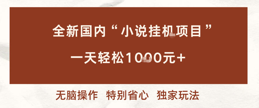 全新国内小说挂G项目，多窗口无脑跑，一天轻松1k+，特别省心【揭秘】-追逐云网创