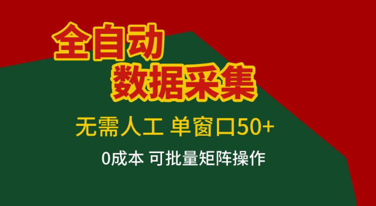 全自动数据采集，无需人工，单窗口50+，0成本可批量矩阵操作【揭秘】-追逐云网创
