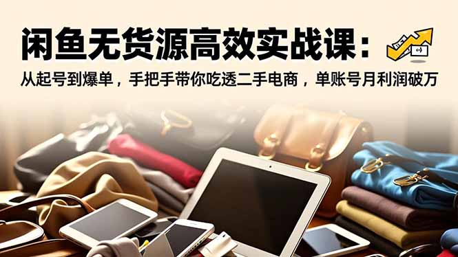 闲鱼无货源高效实战课:从起号到爆单,手把手带你吃透二手电商,单账号月利润破万-追逐云网创