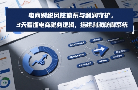 电商财税风控体系与利润守护，3天看懂电商税务逻辑，搭建利润防御系统-追逐云网创