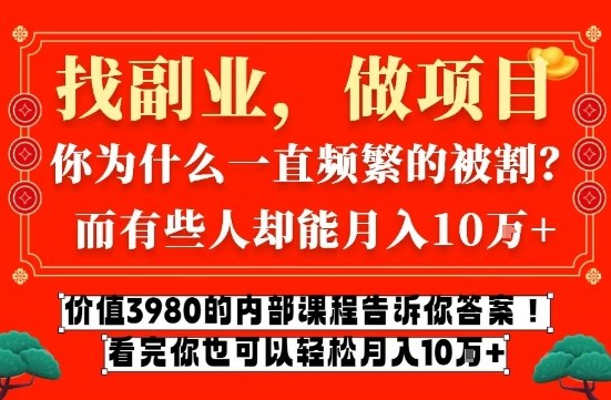 价值3980的网创内部课程，告诉你互联网创业月入10个W的秘密【揭秘】-追逐云网创