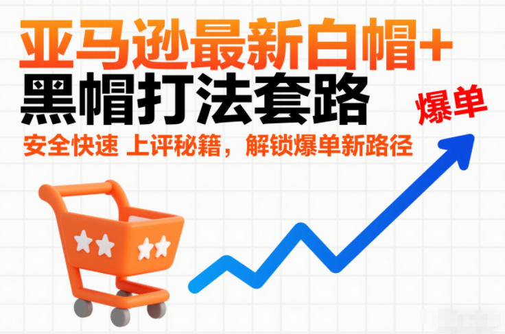 亚马逊最新白帽+黑帽打法套路，安全快速上评秘籍，解锁爆单新路径-追逐云网创