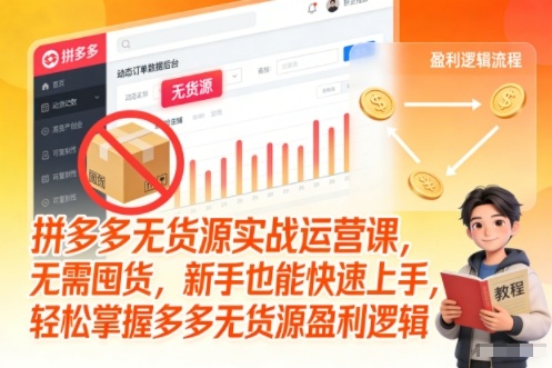 拼多多无货源实战运营课，无需囤货，新手也能快速上手，轻松掌握多多无货源盈利逻辑-追逐云网创