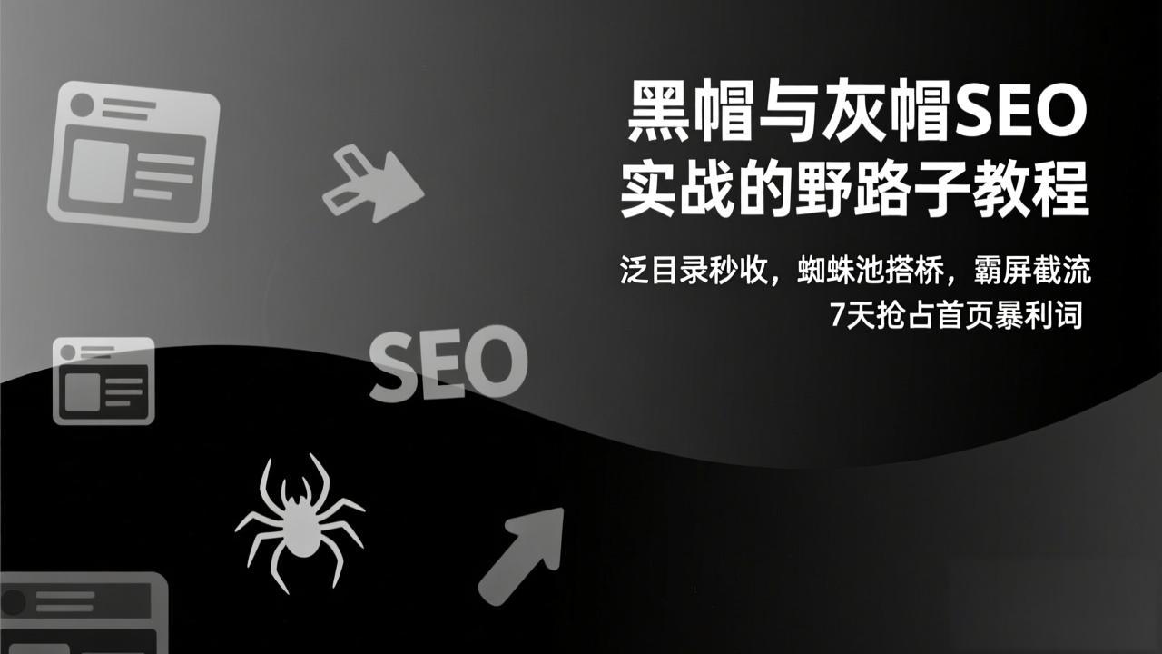 黑帽与灰帽SEO实战的野路子教程：泛目录秒收，蜘蛛池搭桥，霸屏截流，7天抢占首页暴利词-追逐云网创