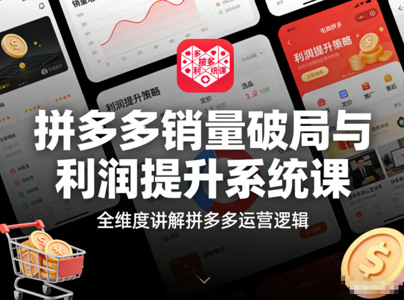 拼多多销量破局与利润提升系统课，全维度讲解拼多多运营逻辑-追逐云网创