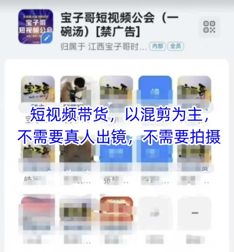 宝子哥头部团队短视频带货，以混剪为主，不需要真人出镜，不需要拍摄【更新12月】-追逐云网创