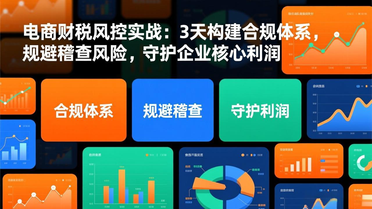 电商财税风控实战：3天构建合规体系，规避稽查风险，守护企业核心利润-追逐云网创
