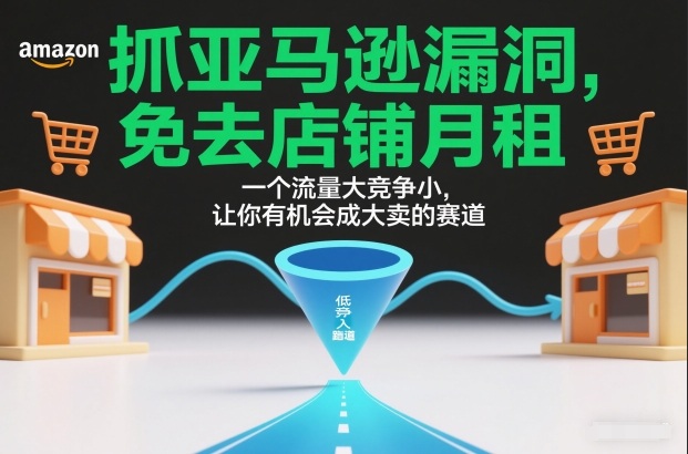 抓亚马逊漏洞，免去店铺月租，一个流量大竞争小，让你有机会成大卖的赛道-追逐云网创