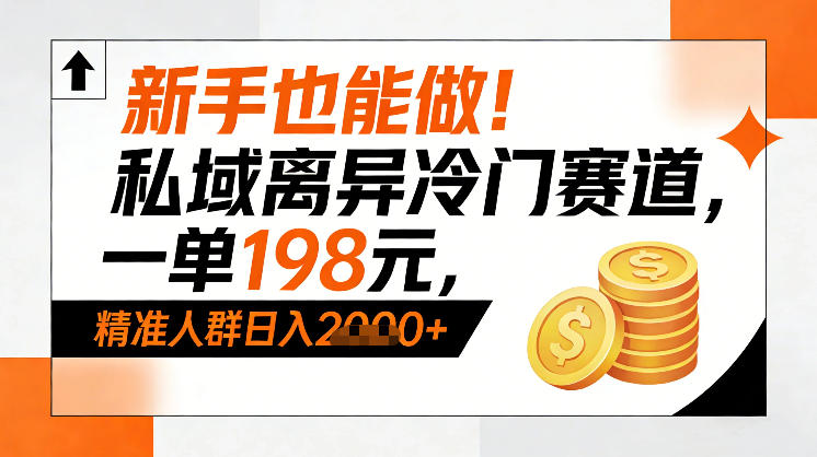 新手也能做！私域离异冷门赛道，一单198，精准人群日入1k+-追逐云网创